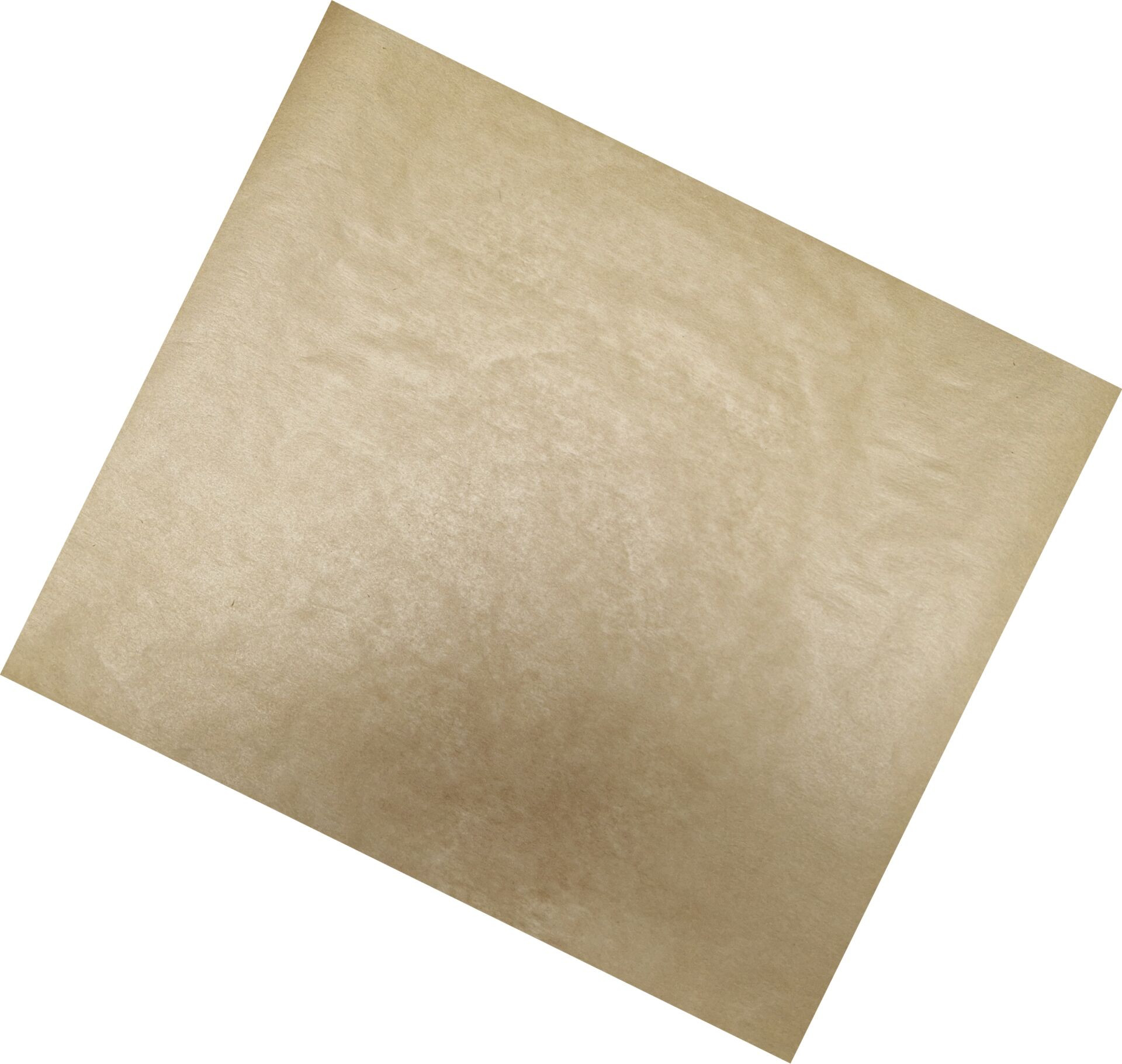 Backtrennpapier, 1000er Pack für GN 2/3 Blech